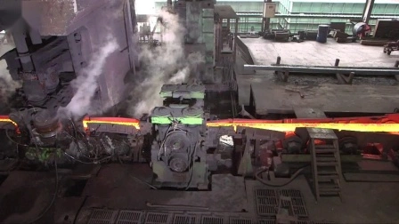 Fabricant de laminoir à chaud en acier de Chine avec qualité ISO